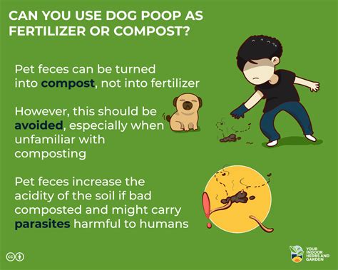 can dog poop be used for fertilizer